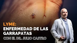 Garrapatas: prevención y tratamiento II Parte Médico con Julio Castro