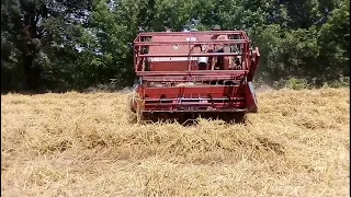 ПРОДОВЖУЄМО ЖНИВА. МОЛОТИМО ПШЕНИЦЮ КОМБАЙНОМ MASSEY FERGUSON MF 186