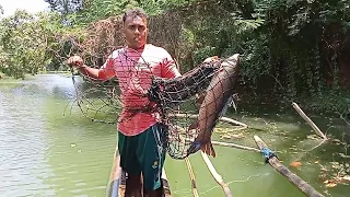 wow!fish catching video with net by fishing of Sri Lanka