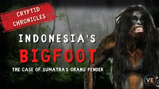 Uncovering Indonesia's Mysterious Bigfoot - The Orang Pendek! | CryptidChronicles