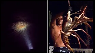 Footage of the moment fishermen accidentally caught GIANT lobster.