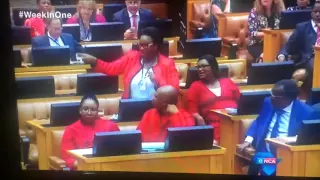 MP from the EFF called a Teletubby in the the South African Parliment