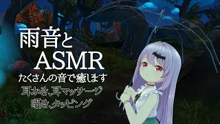 #217【安眠/3h】こんにゃくスポンジを使って耳かきと雨音-たくさんの癒しのASMR音-【エルゼ/Vtuber/JP/ENG】