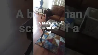 A black man scared of a rat