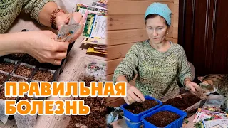 ПЕРВЫЕ ПОСЕВЫ 🌱 Живые растения 16 февраля 2024 Udmurtia