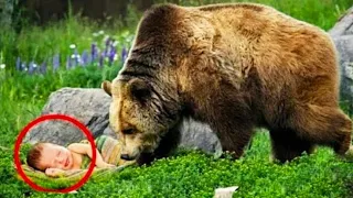 Parents Threw The Baby In The Forest, Then This Bear Appeared And Did Something incredible...