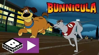 Bunnicula | Rematch | Boomerang UK 🇬🇧