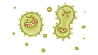 Resistance to Beta-lactam Antibiotics in Bacteria