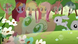 PMV - Stamp on the Ground