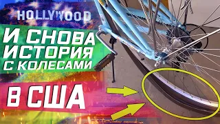 Сёрфинг в Лос-Анджелесе! Почему я не дружу с колёсами?!