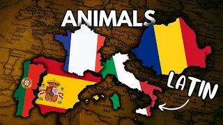 Animals | ROMANCE Languages COMPARISON