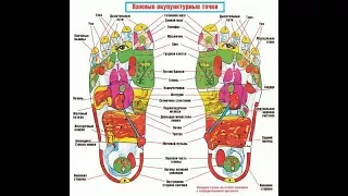 Атлас акупунктурных точек.