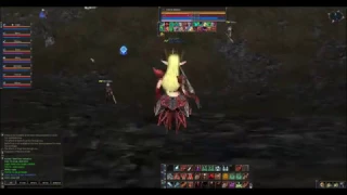 Lineage 2 dawn PlayForFun