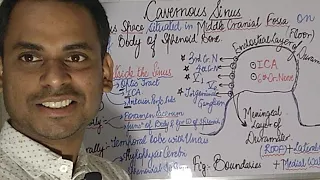 Cavernous Sinus : Boundaries and Contents Simplified