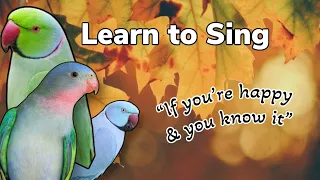 Teaching Your Parrot, budgie or cockatiel to Sing if you’re happy and you know it Clap Your Hands
