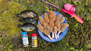 Eating Whatever I Can Catch or Forage in the Woods (Catch, Clean, Cook)