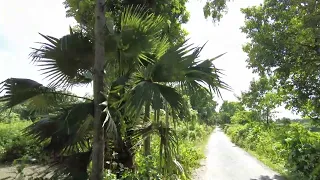 16_16.07.2022 Прогулка Бангладеш, Грин Сити, Руппур. Walk Bangladesh, Green City, Rooppur.