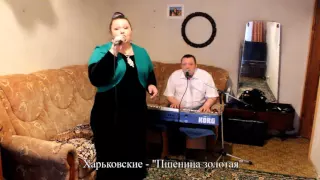 Харьковские Пшеница золотая 2016