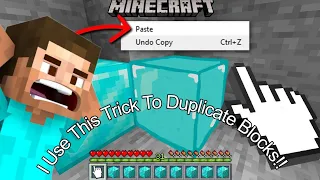 Minecraft But You Can "COPY"and "PASTE" Any Blocks!!