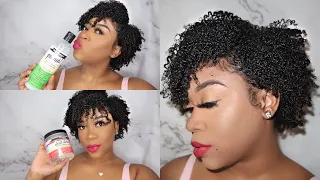 TRYING AUNT JACKIE’S HAIR PRODUCTS! | MOST REFRESHING WASH N GO !