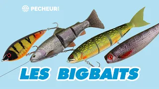 Les bigbaits à brochets