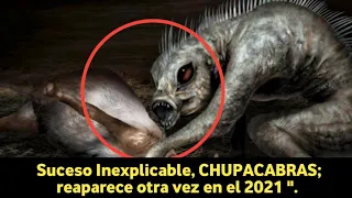 Suceso Inexplicable, CHUPACABRAS; reaparece otra vez en el 2021 / Mundo Desconocido.