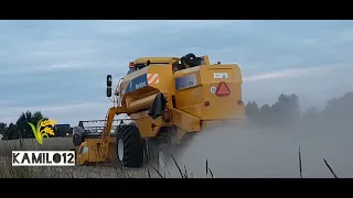 Żniwa 2023☆Koszenie żyta☆New Holland Bizon TC54☆Metal-Fach☆Pronar☆New Holland TD5010D