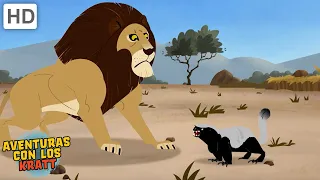 Los leones tienen miedo de este pequeño mamífero [episodios completos] Aventuras con los Kratt