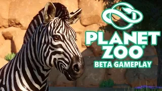 Building a Zebra Habitat | Planet Zoo Beta