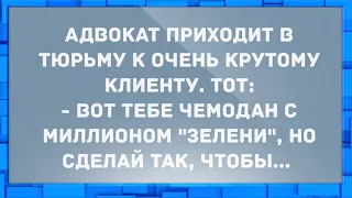 Адвокат приходит в тюрьму к очень крутому клиенту. Анекдоты.