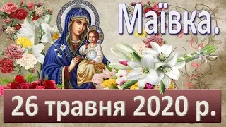 Маївка. 26 травня 2020.