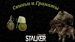 Stalker Online/Stay Out  Свиньи и Гранаты