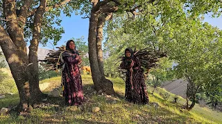 "The Joint Effort of Farideh and Her Sister Fariba in Collecting Firewood"