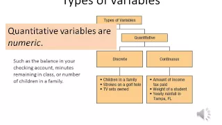 Introduction to Business Statistics: Lesson #1