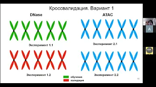 Дмитрий Пензар (ИОГен , ФББ)  «Машинное обучение для предсказания эффектов однонуклеотидных мутаций»