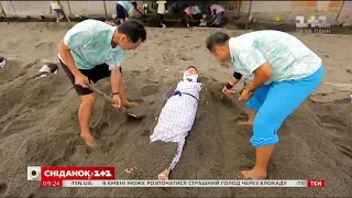 У новому випуску програми "Світ навиворіт" Дмитра Комарова закопають живцем у розпечений пісок