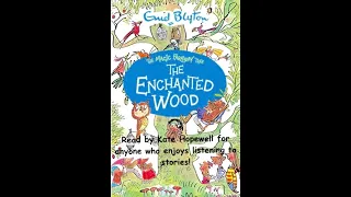 The Enchanted Wood Chapter 1