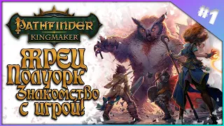 Пробую Pathfinder KINGMAKER ! Игра за жреца полуорка !