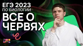 Все о червях ЕГЭ по биологии 2023 | Плоские, круглые и кольчатые черви