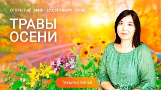 🌿Травы осени. Эфир с Татьяной Хегай