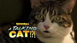 RiffTrax: A Talking Cat!?! Now Available!