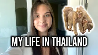 Vlog from home | They took my passport. Spicy food, my dream. Thailand