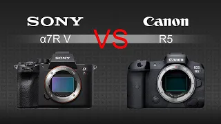 Sony a7R V VS Canon R5 Camera Comparison