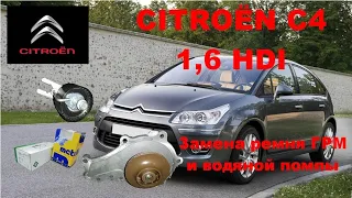 Citroën C4 1,6 HDI. Замена ремня ГРМ и водяной помпы. #заменаремняГРМ #CitroenC4 #1,6HDI