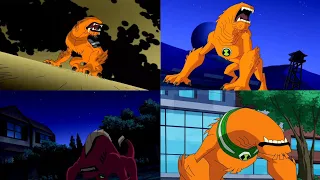 Ben 10: All Wildmutt Transformations (Classic-Omniverse)