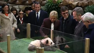 France's Brigitte Macron reveals baby panda's name: Yuan Meng