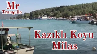 Kazıklı Koyu  🐠⛵️ Milas | Muğla