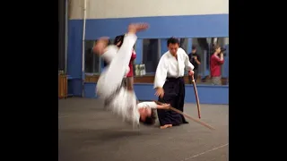 Demonstration performance by Sensei Higa Ryoichiro (4th dan Yoshinkan Aikido) at a seminar, 2005.