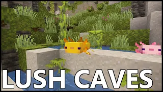 Where To Find LUSH CAVES In MINECRAFT 1.18