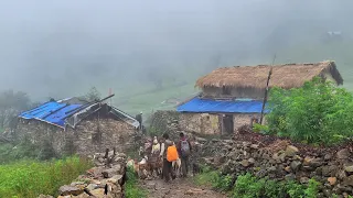 Most Beautiful And Very Relaxing Nepali Mountain Village Life Nepal | Daily Life Of Rainy Day |